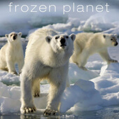 Frozen Planet