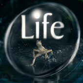 Life